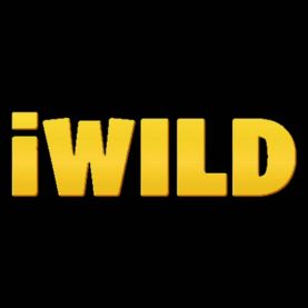 iWild kasyno internetowe recenzja